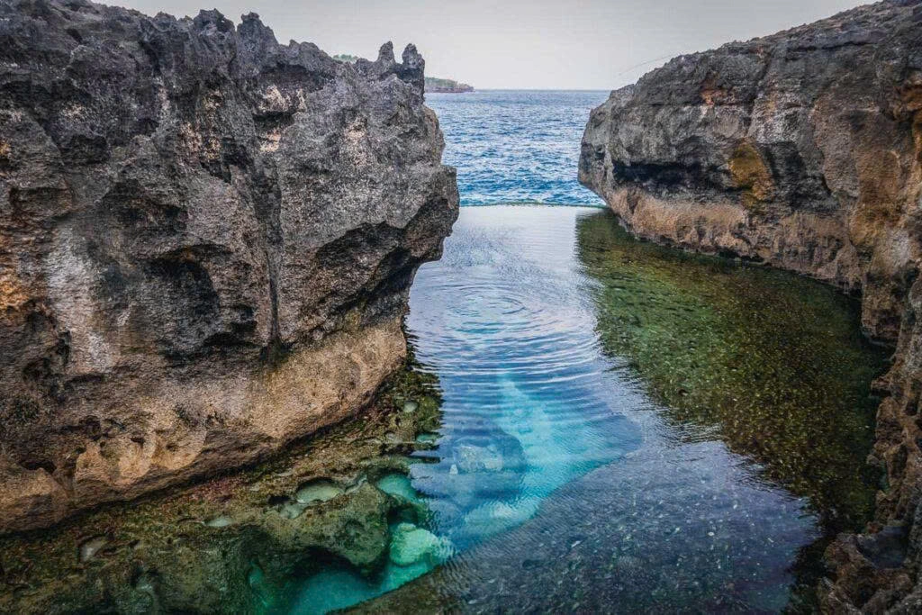 Best Things To Do In Nusa Penida