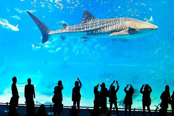 Pacchetto Famiglia a Bangkok